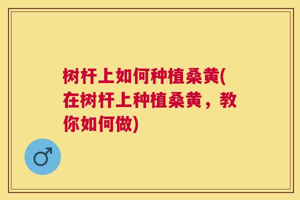 树杆上如何种植桑黄(在树杆上种植桑黄,教你如何做) 树杆上如何种植桑黄(在树杆上种植桑黄,教你如何做)