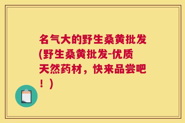 名气大的野生桑黄批发(野生桑黄批发-优质天然药材,快来品尝吧!) 名气大的野生桑黄批发(野生桑黄批发-优质天然药材,快来品尝吧!)