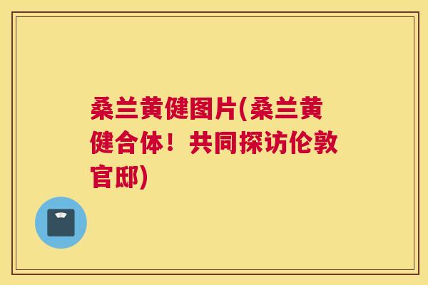 桑兰黄健图片(桑兰黄健合体!共同探访伦敦官邸) 桑兰黄健图片(桑兰黄健合体!共同探访伦敦官邸)