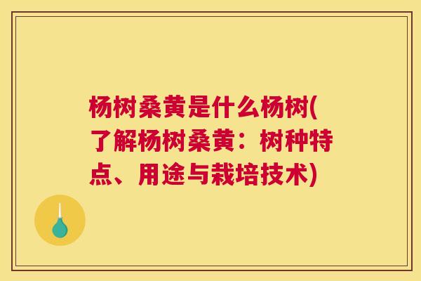 杨树桑黄是什么杨树(了解杨树桑黄:树种特点、用途与栽培技术) 杨树桑黄是什么杨树(了解杨树桑黄:树种特点、用途与栽培技术)
