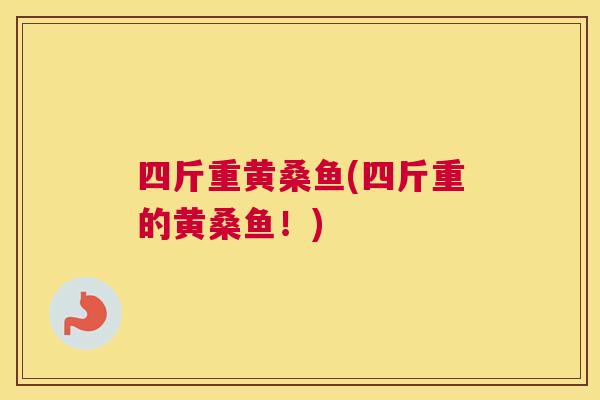 四斤重黄桑鱼(四斤重的黄桑鱼!) 四斤重黄桑鱼(四斤重的黄桑鱼!)