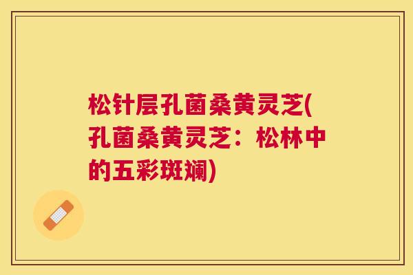 松针层孔菌桑黄灵芝(孔菌桑黄灵芝:松林中的五彩斑斓) 松针层孔菌桑黄灵芝(孔菌桑黄灵芝:松林中的五彩斑斓)