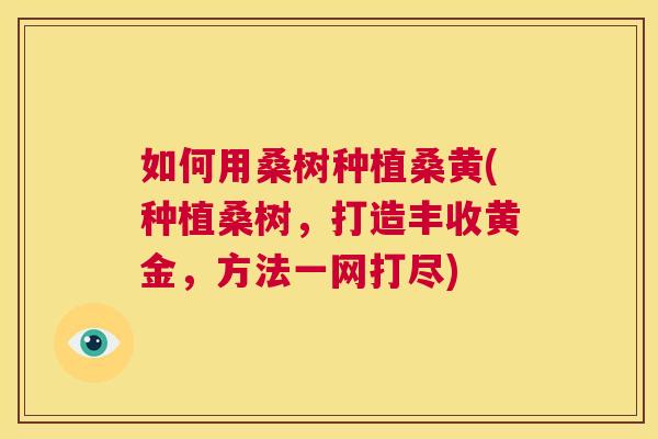 如何用桑树种植桑黄(种植桑树,打造丰收黄金,方法一网打尽) 如何用桑树种植桑黄(种植桑树,打造丰收黄金,方法一网打尽)