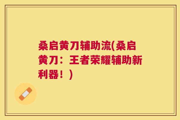 桑启黄刀辅助流(桑启黄刀:王者荣耀辅助新利器!) 桑启黄刀辅助流(桑启黄刀:王者荣耀辅助新利器!)