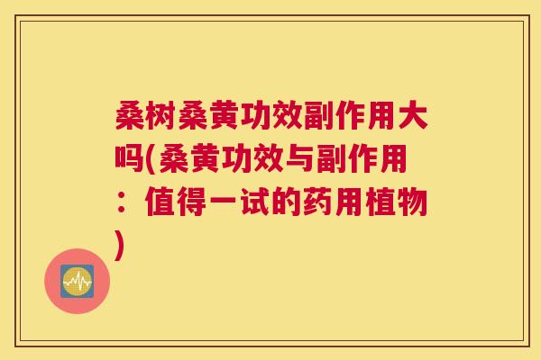 桑树桑黄功效副作用大吗(桑黄功效与副作用:值得一试的药用植物) 桑树桑黄功效副作用大吗(桑黄功效与副作用:值得一试的药用植物)
