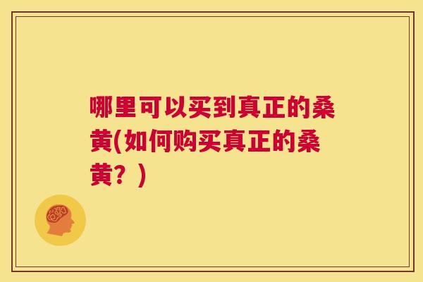 哪里可以买到真正的桑黄(如何购买真正的桑黄?) 哪里可以买到真正的桑黄(如何购买真正的桑黄?)