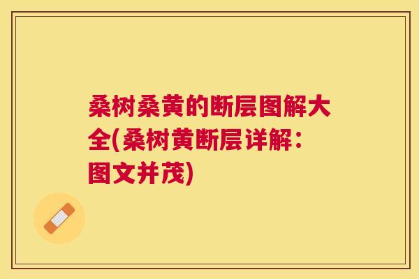 桑树桑黄的断层图解大全(桑树黄断层详解:图文并茂) 桑树桑黄的断层图解大全(桑树黄断层详解:图文并茂)