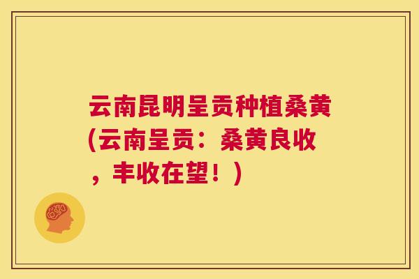云南昆明呈贡种植桑黄(云南呈贡:桑黄良收,丰收在望!) 云南昆明呈贡种植桑黄(云南呈贡:桑黄良收,丰收在望!)