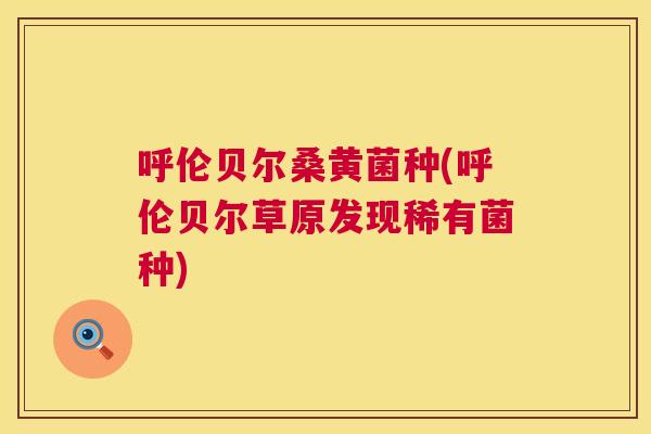 呼伦贝尔桑黄菌种(呼伦贝尔草原发现稀有菌种) 呼伦贝尔桑黄菌种(呼伦贝尔草原发现稀有菌种)