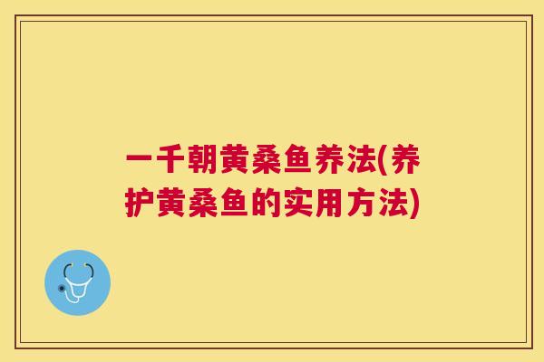 一千朝黄桑鱼养法(养护黄桑鱼的实用方法) 一千朝黄桑鱼养法(养护黄桑鱼的实用方法)