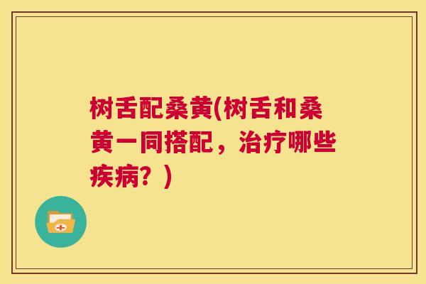 树舌配桑黄(树舌和桑黄一同搭配,哪些?) 树舌配桑黄(树舌和桑黄一同搭配,哪些?)