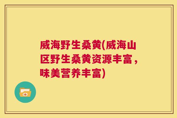 威海野生桑黄(威海山区野生桑黄资源丰富,味美营养丰富) 威海野生桑黄(威海山区野生桑黄资源丰富,味美营养丰富)