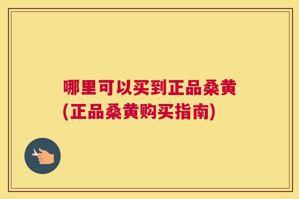 哪里可以买到正品桑黄(正品桑黄购买指南) 哪里可以买到正品桑黄(正品桑黄购买指南)