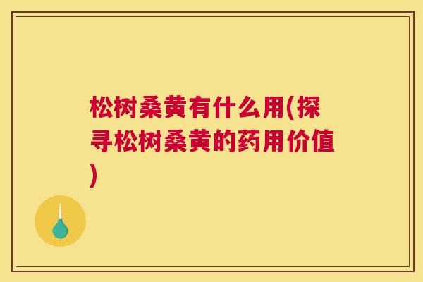 松树桑黄有什么用(探寻松树桑黄的药用价值) 松树桑黄有什么用(探寻松树桑黄的药用价值)