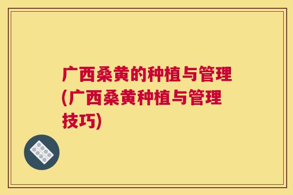 广西桑黄的种植与管理(广西桑黄种植与管理技巧) 广西桑黄的种植与管理(广西桑黄种植与管理技巧)