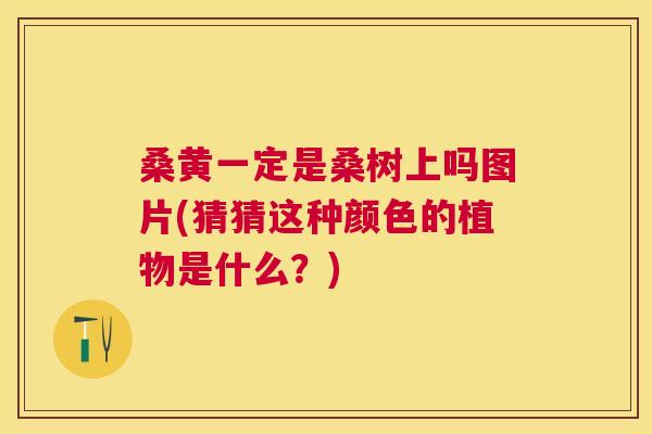 桑黄一定是桑树上吗图片(猜猜这种颜色的植物是什么?) 桑黄一定是桑树上吗图片(猜猜这种颜色的植物是什么?)