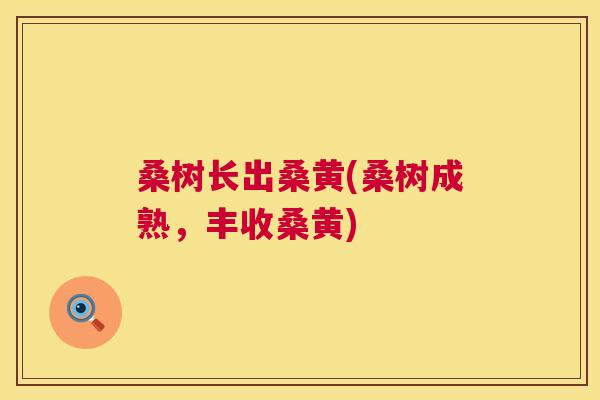 桑树长出桑黄(桑树成熟,丰收桑黄) 桑树长出桑黄(桑树成熟,丰收桑黄)