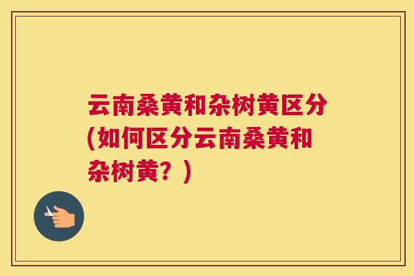 云南桑黄和杂树黄区分(如何区分云南桑黄和杂树黄?) 云南桑黄和杂树黄区分(如何区分云南桑黄和杂树黄?)