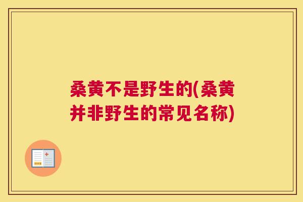 桑黄不是野生的(桑黄并非野生的常见名称) 桑黄不是野生的(桑黄并非野生的常见名称)