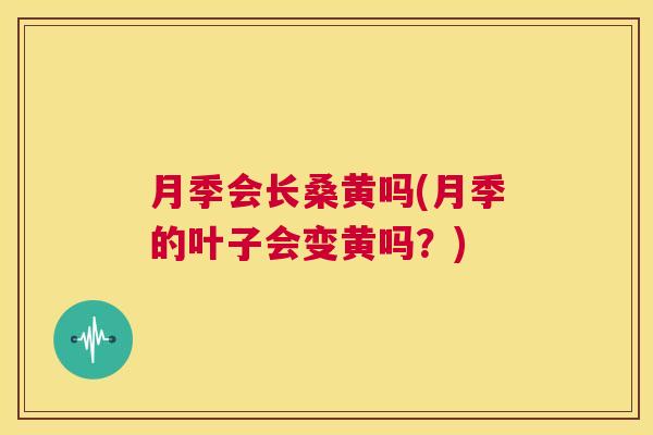 月季会长桑黄吗(月季的叶子会变黄吗?) 月季会长桑黄吗(月季的叶子会变黄吗?)