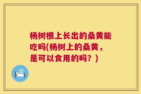 杨树根上长出的桑黄能吃吗(杨树上的桑黄,是可以食用的吗?) 杨树根上长出的桑黄能吃吗(杨树上的桑黄,是可以食用的吗?)