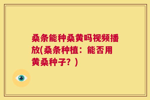 桑条能种桑黄吗视频播放(桑条种植:能否用黄桑种子?) 桑条能种桑黄吗视频播放(桑条种植:能否用黄桑种子?)