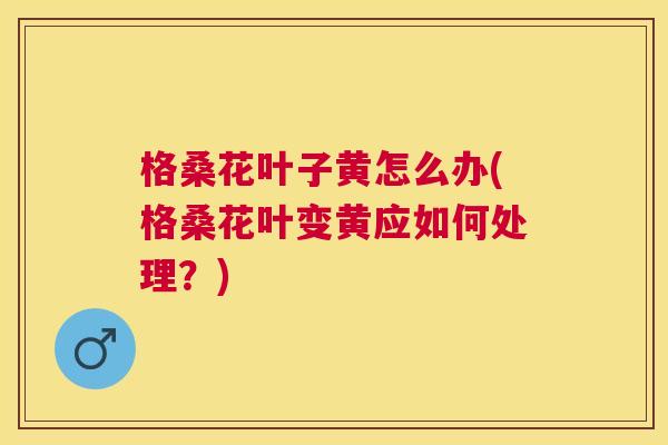 格桑花叶子黄怎么办(格桑花叶变黄应如何处理?) 格桑花叶子黄怎么办(格桑花叶变黄应如何处理?)
