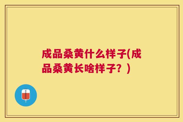 成品桑黄什么样子(成品桑黄长啥样子?) 成品桑黄什么样子(成品桑黄长啥样子?)