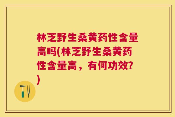 林芝野生桑黄含量高吗(林芝野生桑黄含量高,有何功效?) 林芝野生桑黄含量高吗(林芝野生桑黄含量高,有何功效?)