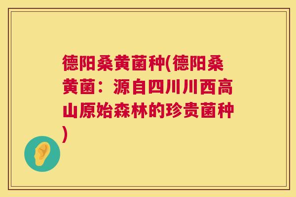 德阳桑黄菌种(德阳桑黄菌:源自四川川西高山原始森林的珍贵菌种) 德阳桑黄菌种(德阳桑黄菌:源自四川川西高山原始森林的珍贵菌种)