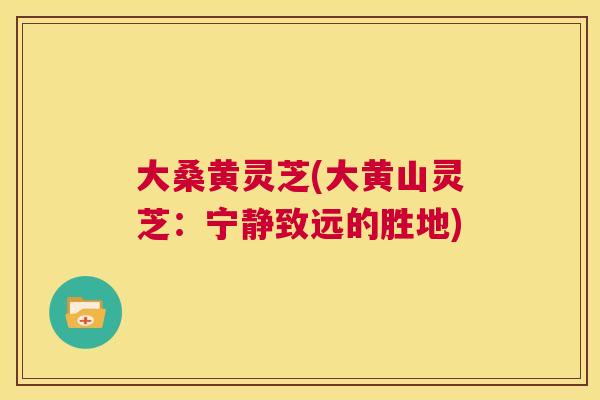 大桑黄灵芝(大黄山灵芝：宁静致远的胜地)