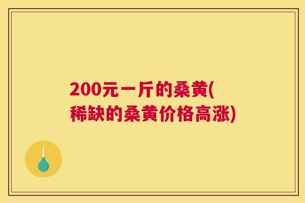 200元一斤的桑黄(稀缺的桑黄价格高涨) 200元一斤的桑黄(稀缺的桑黄价格高涨)