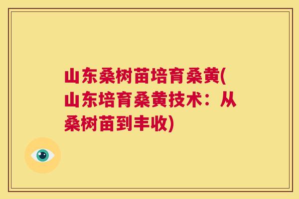 山东桑树苗培育桑黄(山东培育桑黄技术:从桑树苗到丰收) 山东桑树苗培育桑黄(山东培育桑黄技术:从桑树苗到丰收)