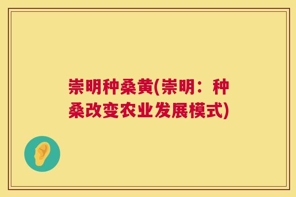 崇明种桑黄(崇明:种桑改变农业发展模式) 崇明种桑黄(崇明:种桑改变农业发展模式)