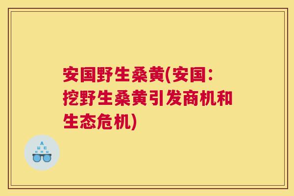 安国野生桑黄(安国:挖野生桑黄引发商机和生态危机) 安国野生桑黄(安国:挖野生桑黄引发商机和生态危机)