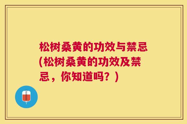 松树桑黄的功效与禁忌(松树桑黄的功效及禁忌,你知道吗?) 松树桑黄的功效与禁忌(松树桑黄的功效及禁忌,你知道吗?)