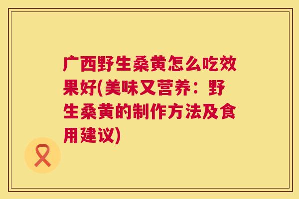 广西野生桑黄怎么吃效果好(美味又营养:野生桑黄的制作方法及食用建议) 广西野生桑黄怎么吃效果好(美味又营养:野生桑黄的制作方法及食用建议)