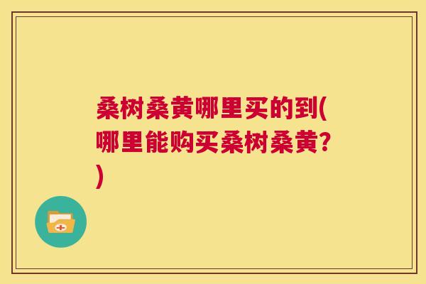 桑树桑黄哪里买的到(哪里能购买桑树桑黄?) 桑树桑黄哪里买的到(哪里能购买桑树桑黄?)
