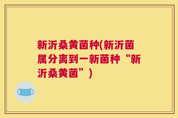 新沂桑黄菌种(新沂菌属分离到一新菌种“新沂桑黄菌”) 新沂桑黄菌种(新沂菌属分离到一新菌种“新沂桑黄菌”)