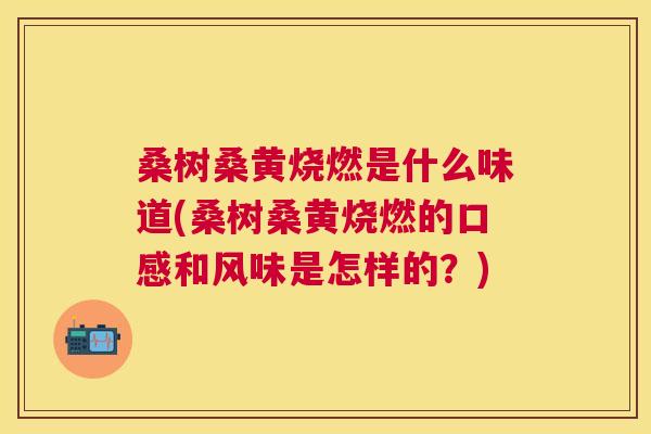 桑树桑黄烧燃是什么味道(桑树桑黄烧燃的口感和风味是怎样的?) 桑树桑黄烧燃是什么味道(桑树桑黄烧燃的口感和风味是怎样的?)