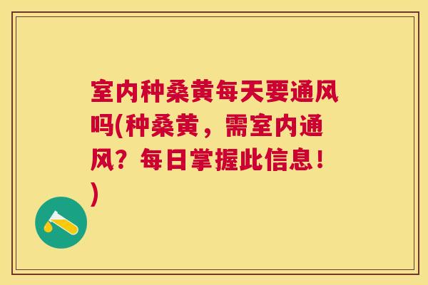 室内种桑黄每天要通风吗(种桑黄,需室内通风?每日掌握此信息!) 室内种桑黄每天要通风吗(种桑黄,需室内通风?每日掌握此信息!)