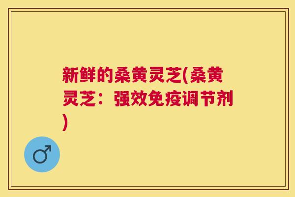 新鲜的桑黄灵芝(桑黄灵芝:强效调节剂) 新鲜的桑黄灵芝(桑黄灵芝:强效调节剂)