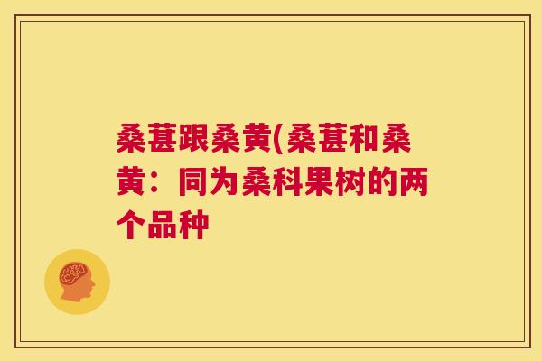 桑葚跟桑黄(桑葚和桑黄:同为桑科果树的两个品种 桑葚跟桑黄(桑葚和桑黄:同为桑科果树的两个品种