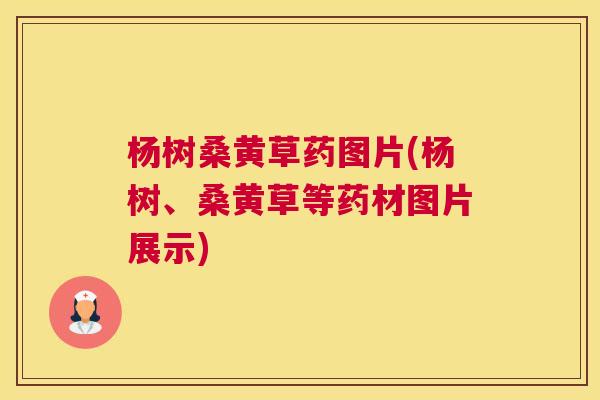 杨树桑黄草药图片(杨树、桑黄草等药材图片展示) 杨树桑黄草药图片(杨树、桑黄草等药材图片展示)