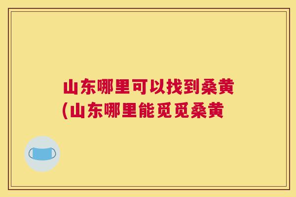 山东哪里可以找到桑黄(山东哪里能觅觅桑黄 山东哪里可以找到桑黄(山东哪里能觅觅桑黄