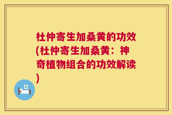 杜仲寄生加桑黄的功效(杜仲寄生加桑黄:神奇植物组合的功效解读) 杜仲寄生加桑黄的功效(杜仲寄生加桑黄:神奇植物组合的功效解读)