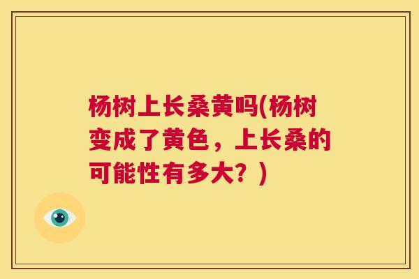 杨树上长桑黄吗(杨树变成了黄色,上长桑的可能性有多大?) 杨树上长桑黄吗(杨树变成了黄色,上长桑的可能性有多大?)