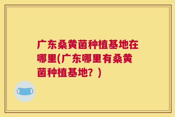 广东桑黄菌种植基地在哪里(广东哪里有桑黄菌种植基地?) 广东桑黄菌种植基地在哪里(广东哪里有桑黄菌种植基地?)