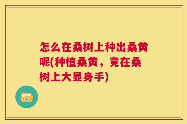 怎么在桑树上种出桑黄呢(种植桑黄,竟在桑树上大显身手) 怎么在桑树上种出桑黄呢(种植桑黄,竟在桑树上大显身手)
