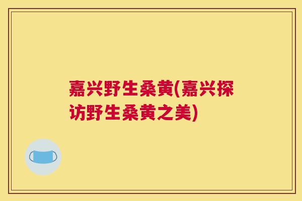 嘉兴野生桑黄(嘉兴探访野生桑黄之美) 嘉兴野生桑黄(嘉兴探访野生桑黄之美)